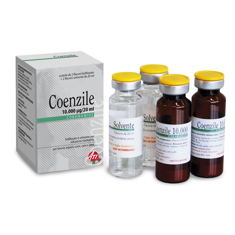 COENZILE 10000 X 2 FLAC